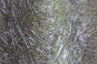 Oswaldkirk fibreglass roof work